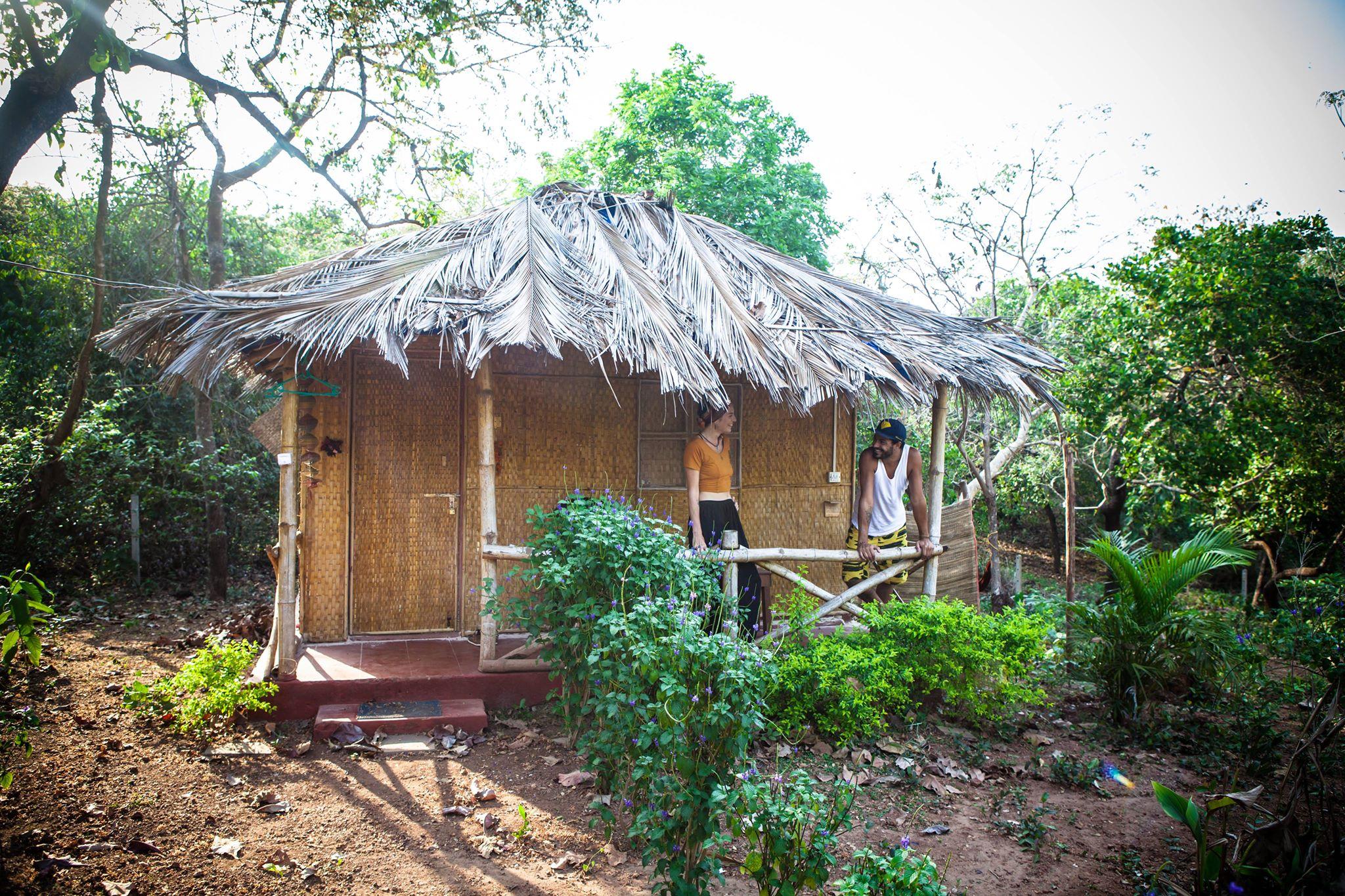 Credo Jungle Resort Agonda-Standard